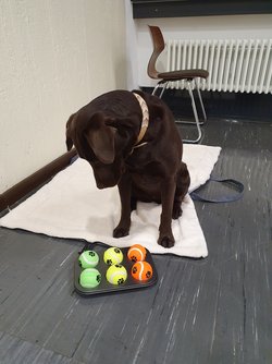 Emma in der Schule