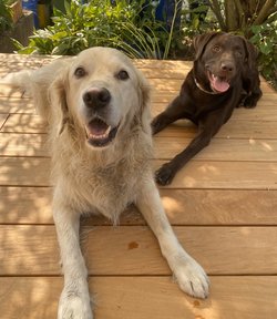 Emma (re) und Karlsson (li)